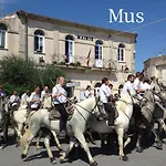 Charmante En Petite Camargue