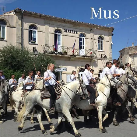Charmante En Petite Camargue